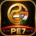 PE7 Game