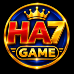 HA7 Game